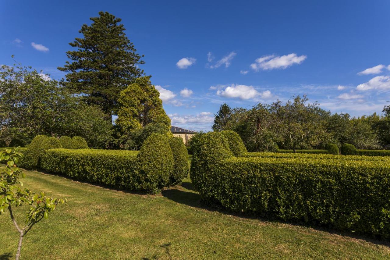 Гостьовий будинок Araucaria House Баррейрос Екстер'єр фото