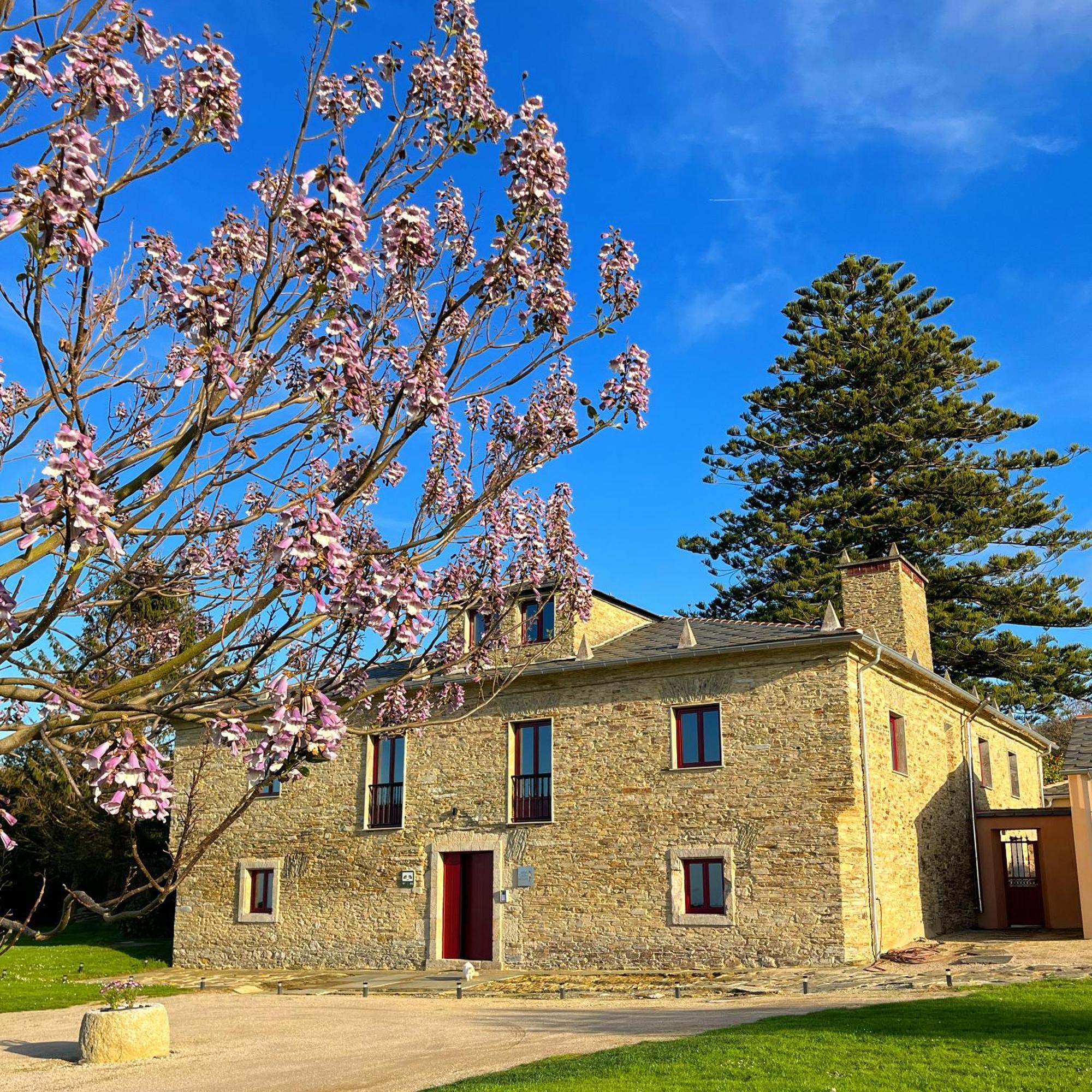 Гостьовий будинок Araucaria House Баррейрос Екстер'єр фото